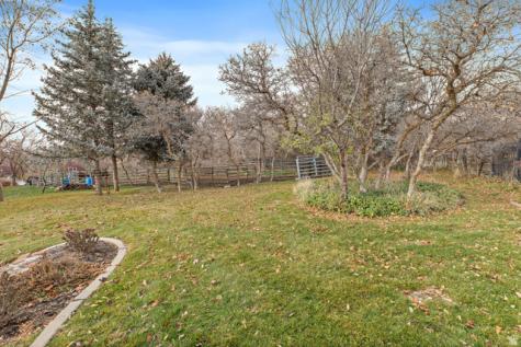 986 N Sunbrook Circle Alpine UT 84004