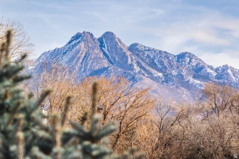 594 E Spruce Glen Road Murray UT 84107