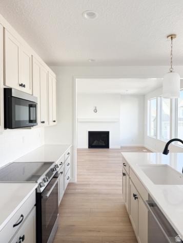 2919 E Serdar Lane Eagle Mountain UT 84005