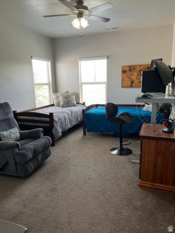 1195 S 2970 E St. George UT 84790