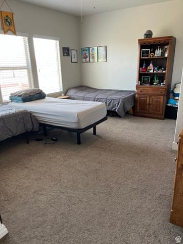 1195 S 2970 E St. George UT 84790