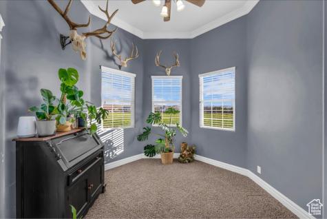 3465 E 2090 Circle S St. George UT 84790