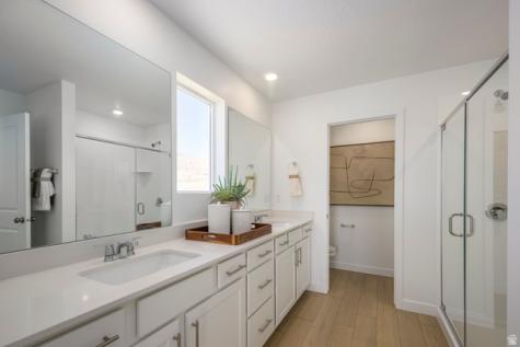 1823 W Golden Magic Lane Saratoga Springs UT 84045
