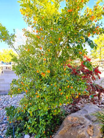 823 E Majestic Drive Washington UT 84780