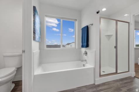 1258 E Bell Buoy Way Eagle Mountain UT 84005