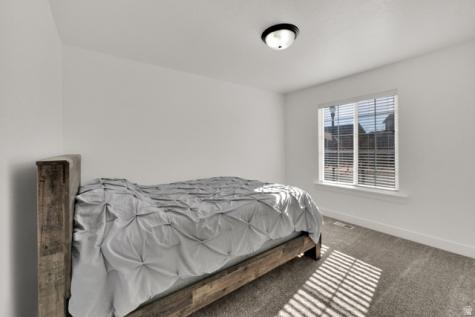 503 Firestone Drive Santaquin UT 84655
