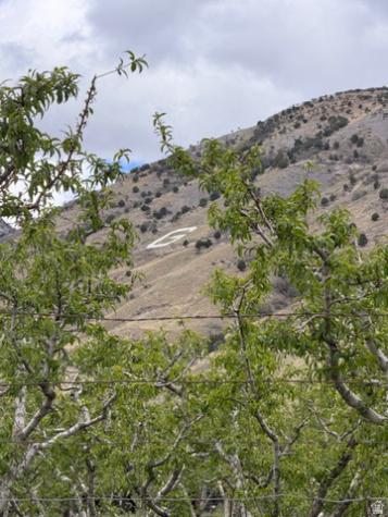 24 S 1400 E Pleasant Grove UT 84062