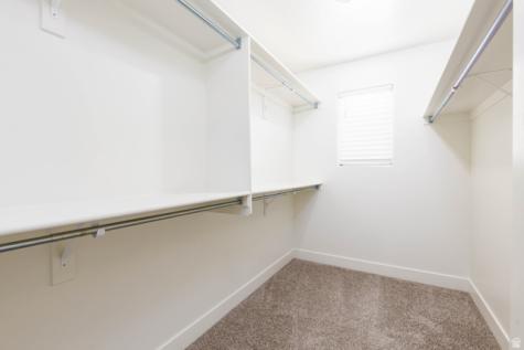 3157 E Halo Lane St. George UT 84790