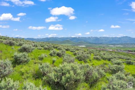 6909 Willow Pond Lane Park City UT 84098