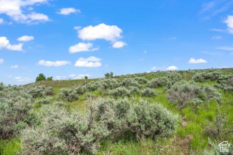6909 Willow Pond Lane Park City UT 84098