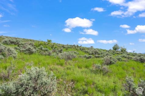 6909 Willow Pond Lane Park City UT 84098