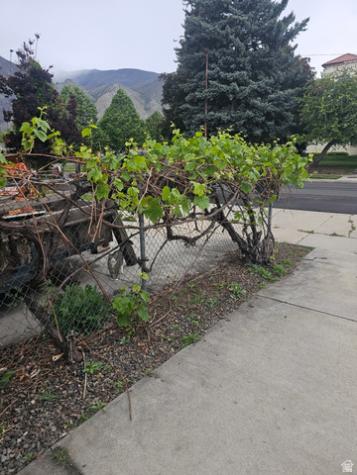 444 S 100 E Springville UT 84663