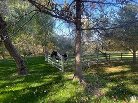 187 N Waterhole Way E Grantsville UT 84029