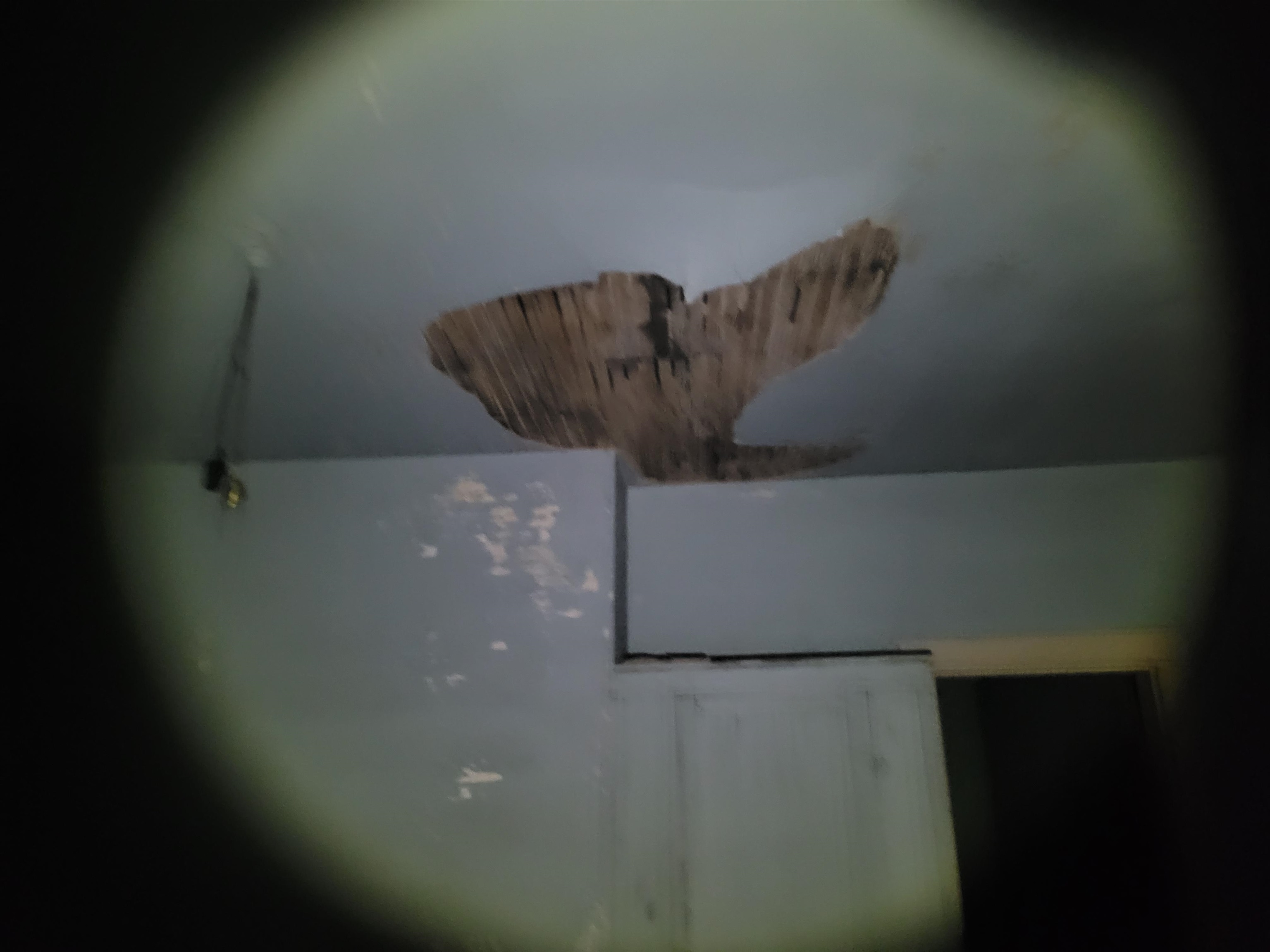 2 Dora Highway Pulaski VA 24301