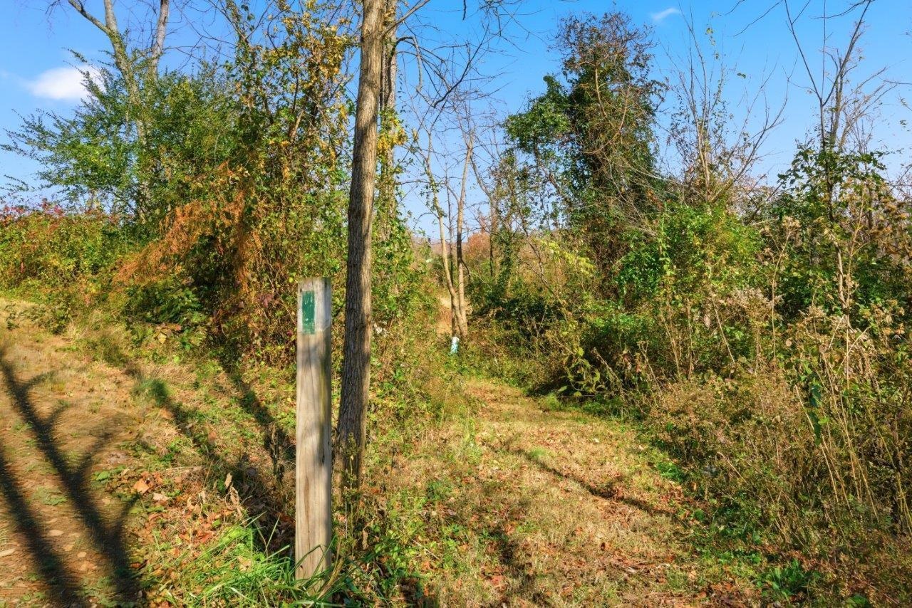 204 Douglas Lane Pearisburg VA 24134