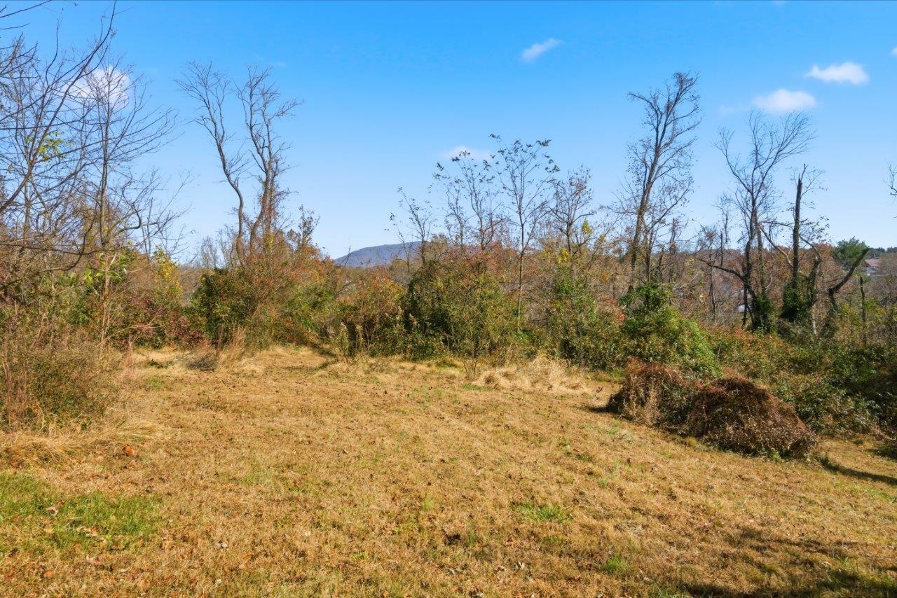 204 Douglas Lane Pearisburg VA 24134