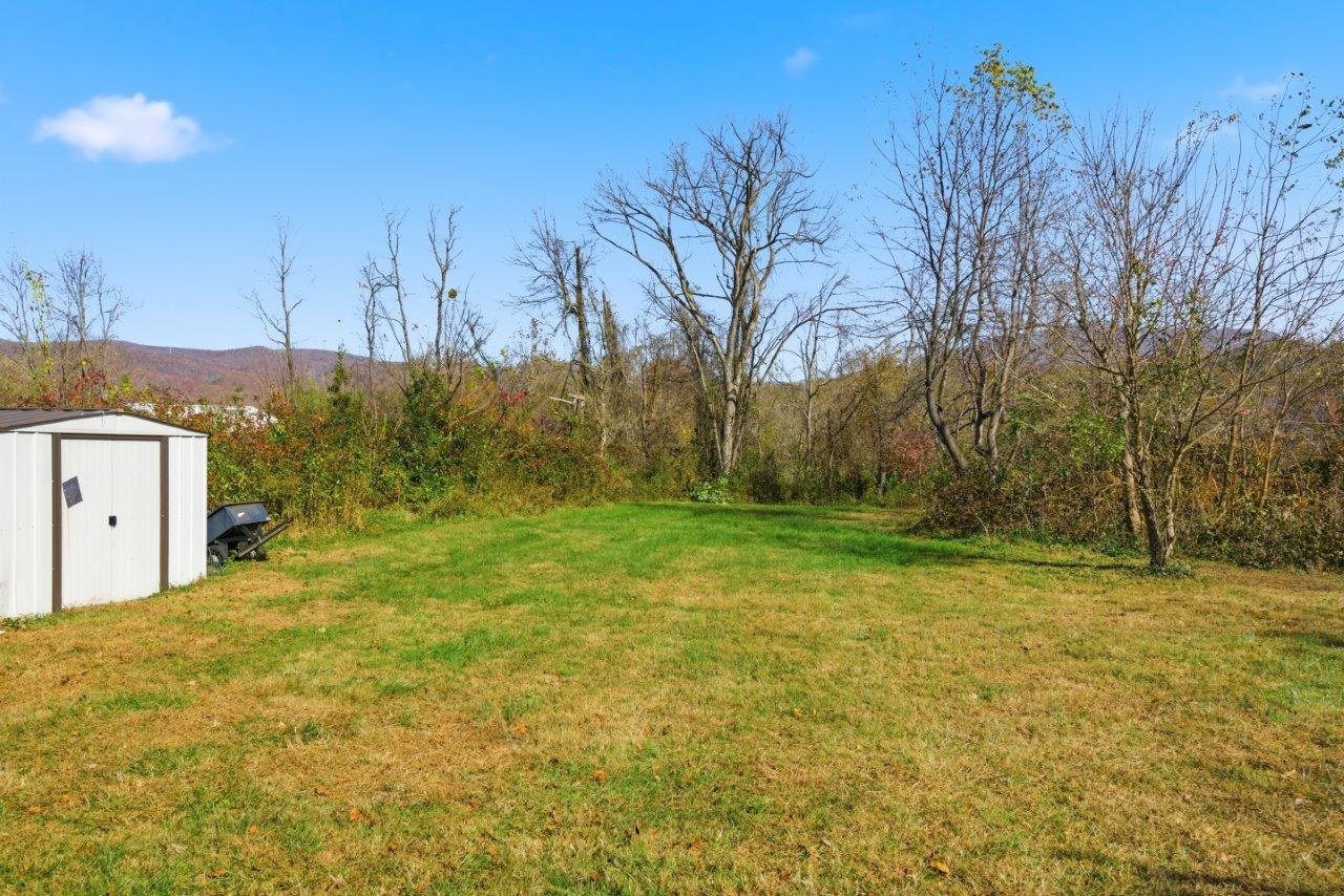 204 Douglas Lane Pearisburg VA 24134