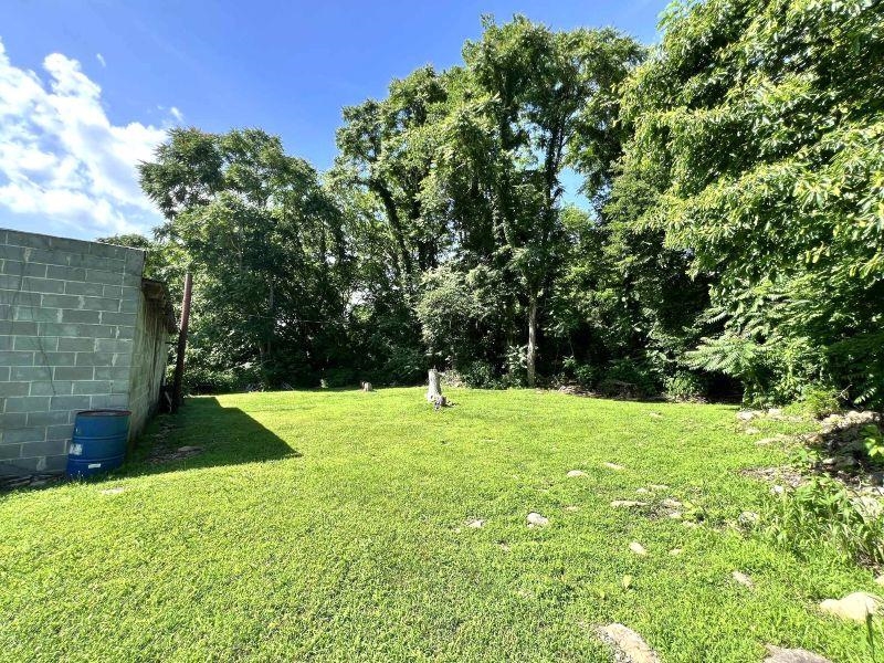 319A Poplar Street Narrows VA 24124