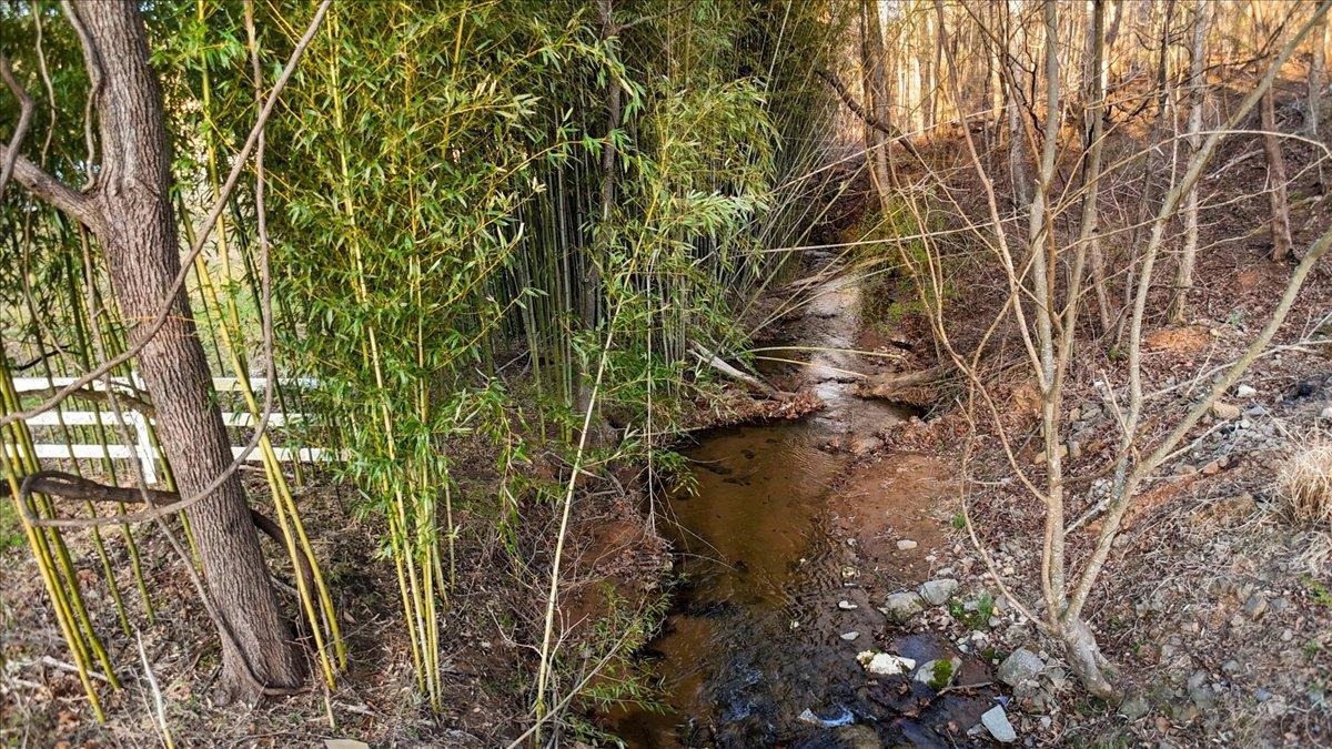 1356 Coopers Cove Road Hardy VA 24101