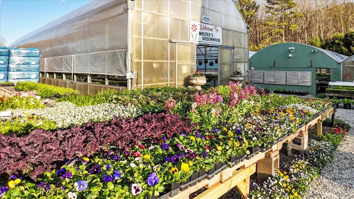 1356 Coopers Cove Road Hardy VA 24101