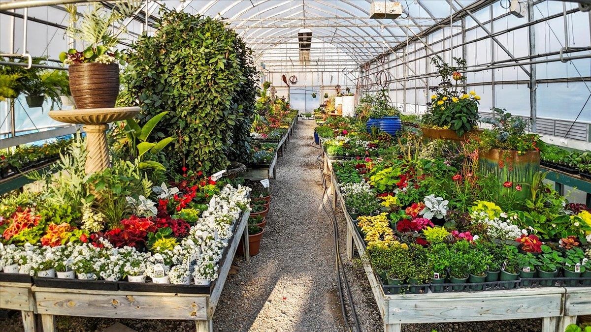 1356 Coopers Cove Road Hardy VA 24101