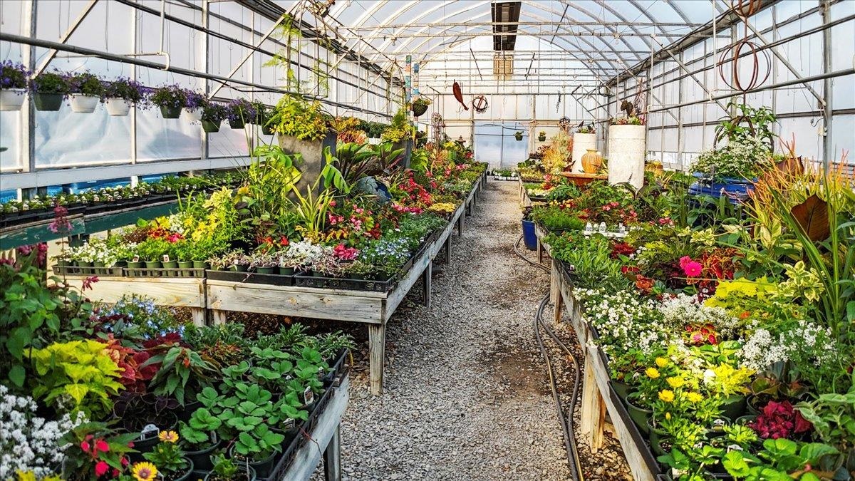 1356 Coopers Cove Road Hardy VA 24101