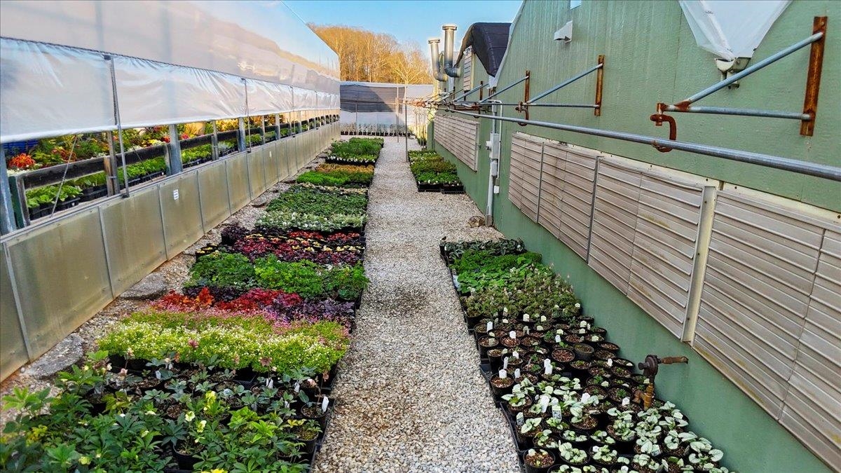 1356 Coopers Cove Road Hardy VA 24101