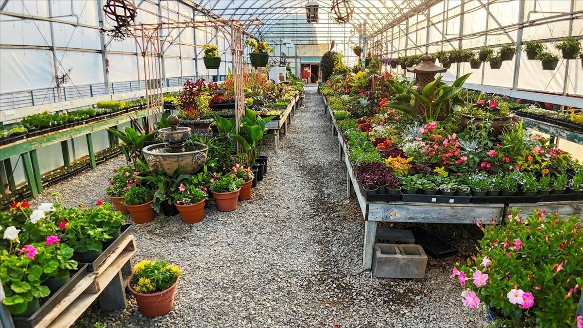 1356 Coopers Cove Road Hardy VA 24101