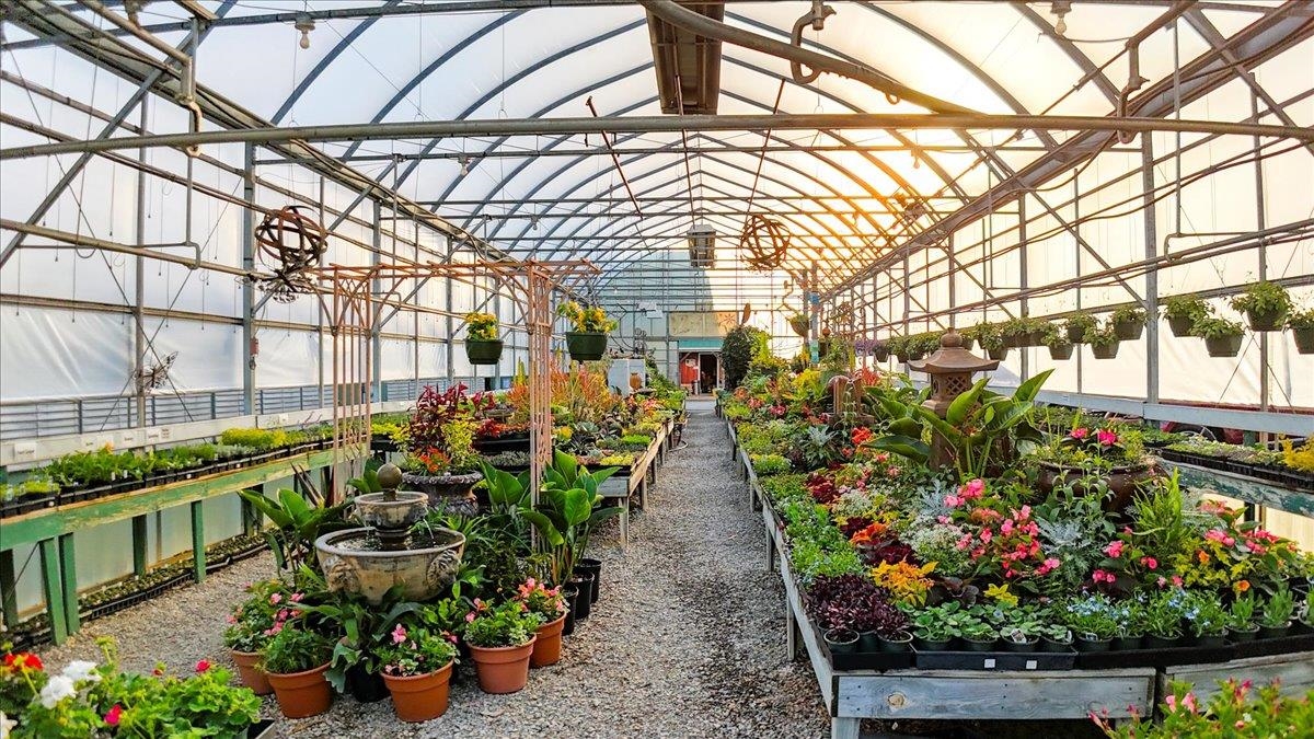 1356 Coopers Cove Road Hardy VA 24101