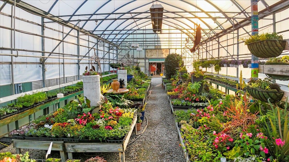 1356 Coopers Cove Road Hardy VA 24101