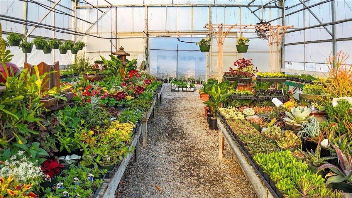 1356 Coopers Cove Road Hardy VA 24101