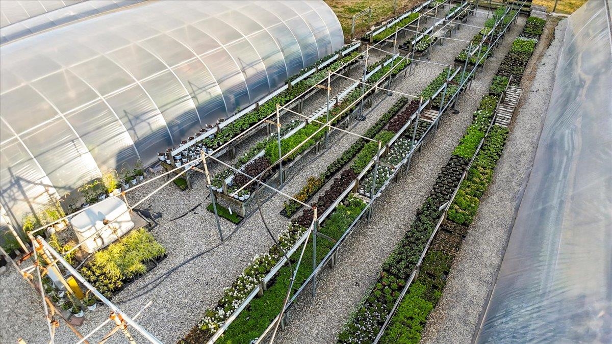 1356 Coopers Cove Road Hardy VA 24101