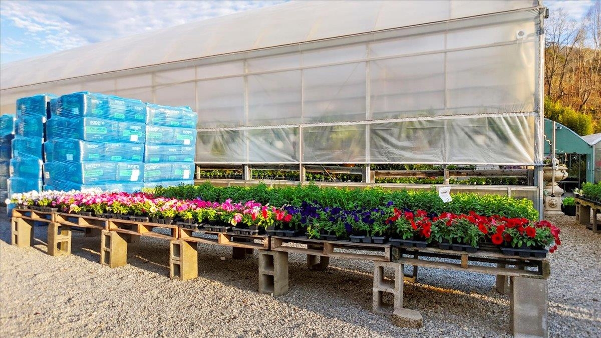 1356 Coopers Cove Road Hardy VA 24101