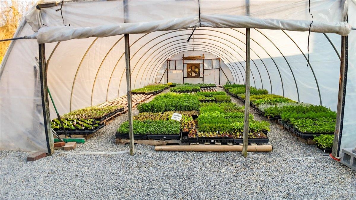 1356 Coopers Cove Road Hardy VA 24101