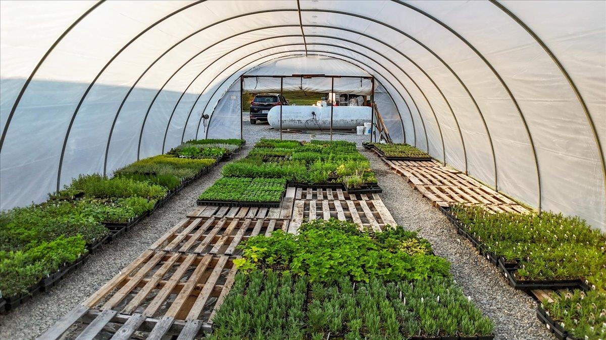 1356 Coopers Cove Road Hardy VA 24101