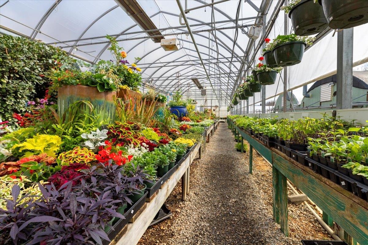 1356 Coopers Cove Road Hardy VA 24101