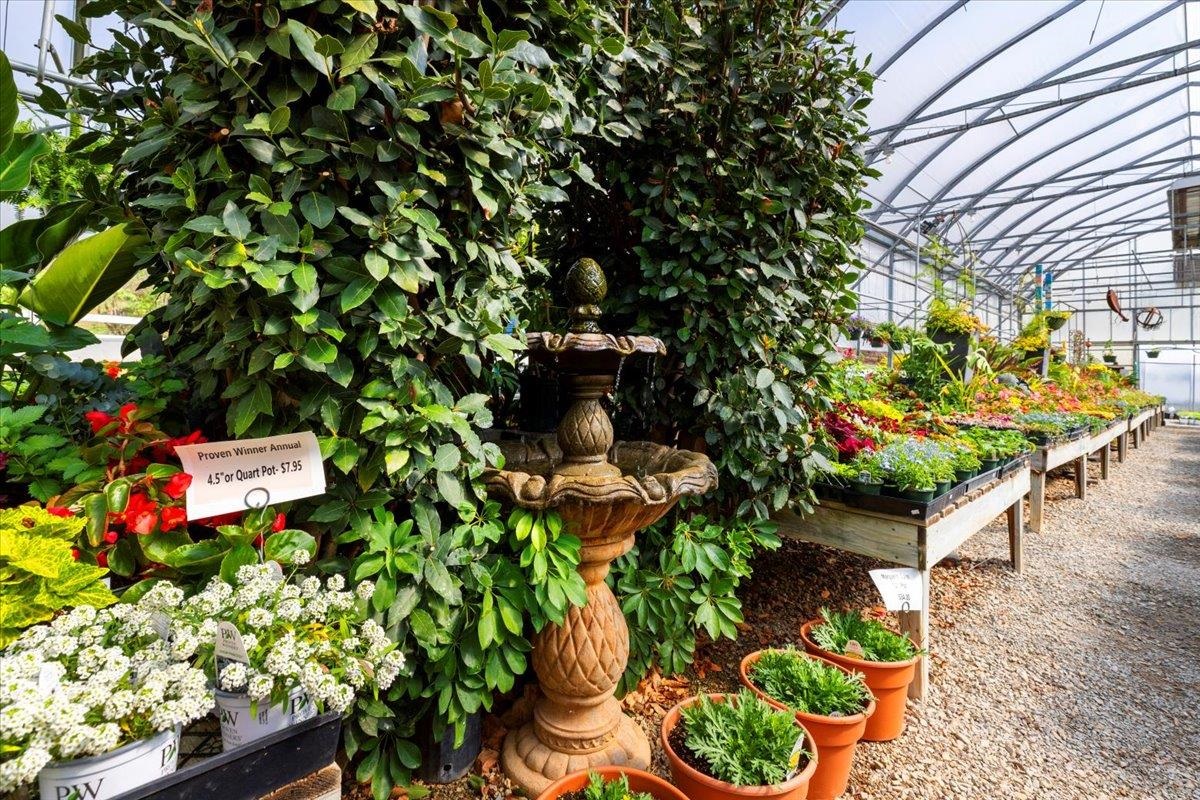 1356 Coopers Cove Road Hardy VA 24101