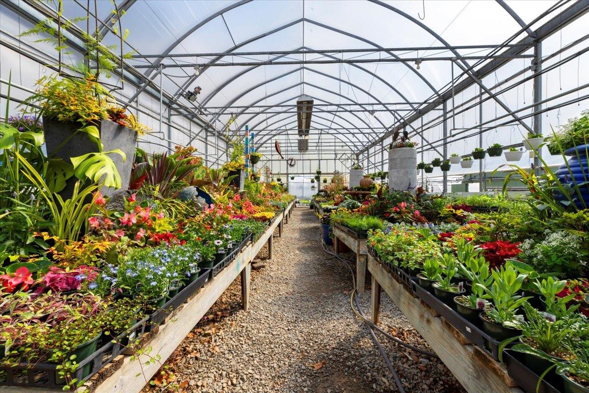 1356 Coopers Cove Road Hardy VA 24101