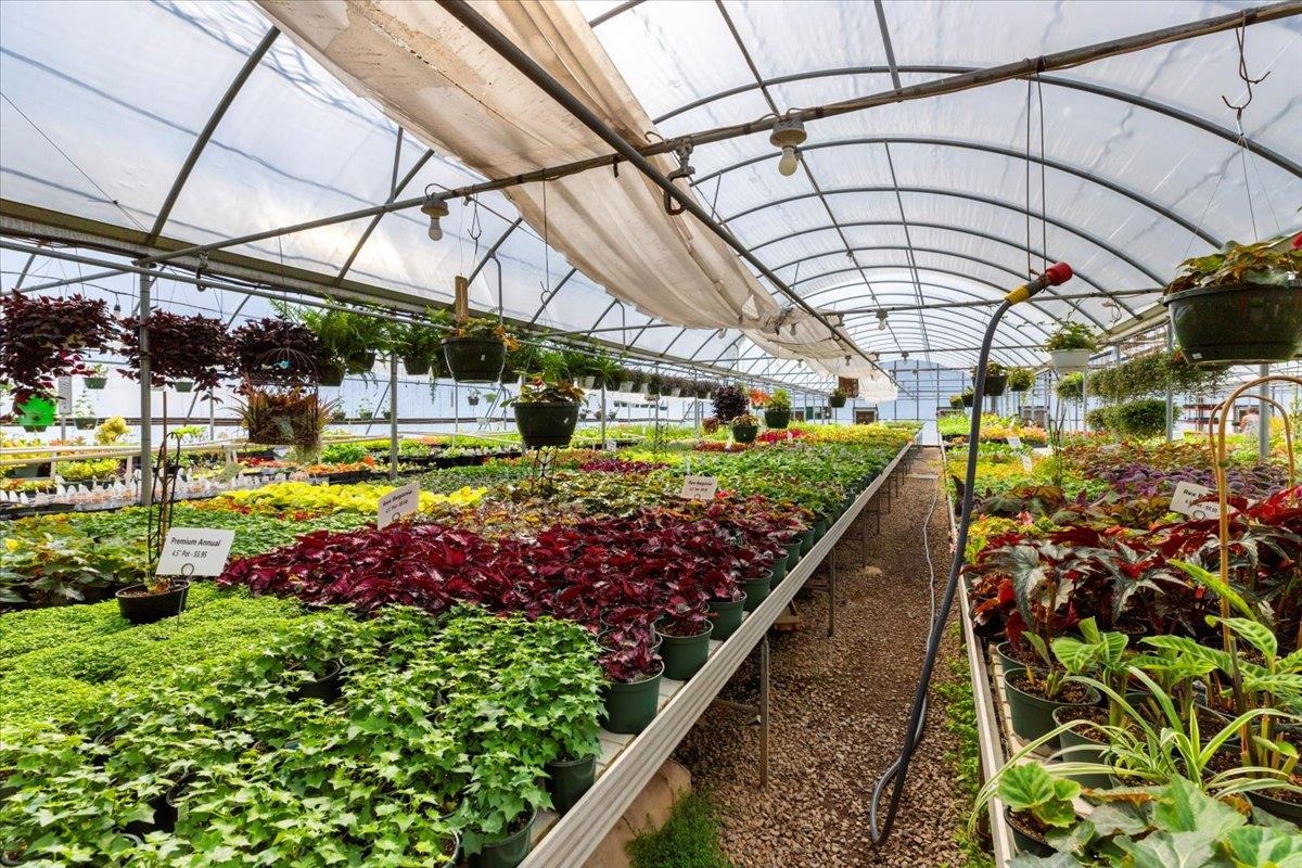 1356 Coopers Cove Road Hardy VA 24101