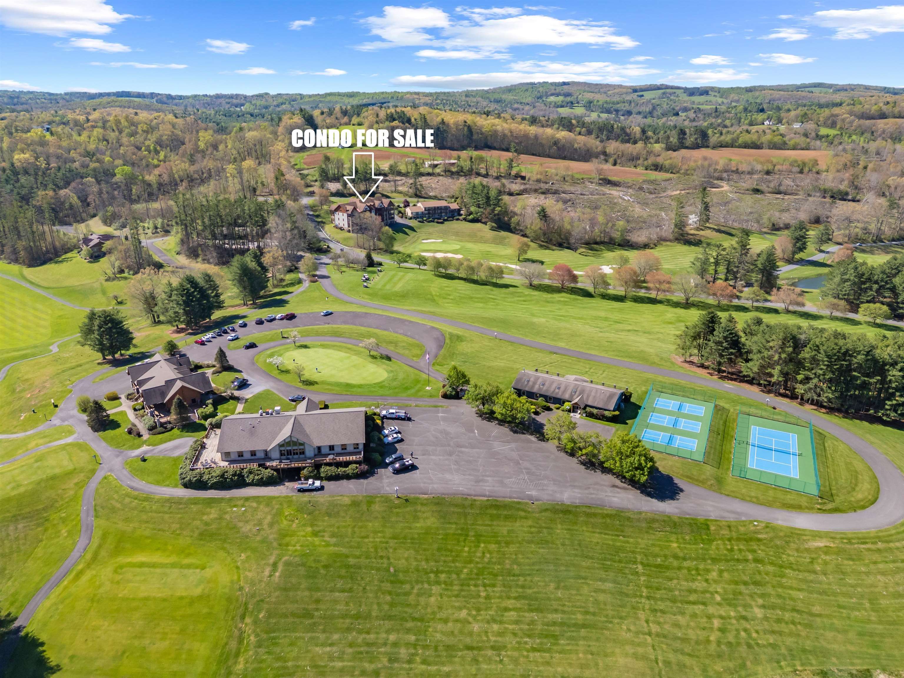 20 Golf Overlook Way Laurel Fork VA 24352