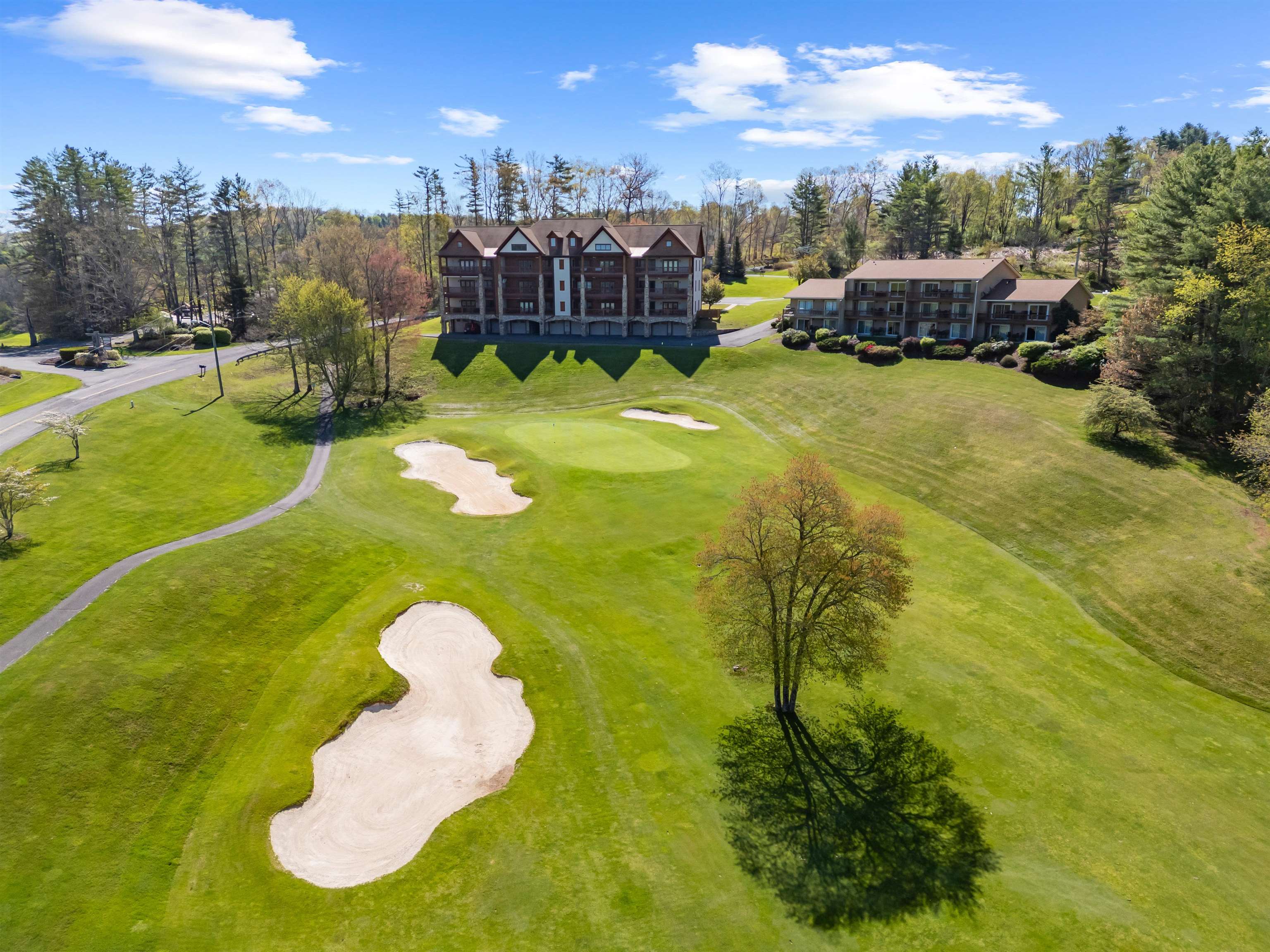 20 Golf Overlook Way Laurel Fork VA 24352