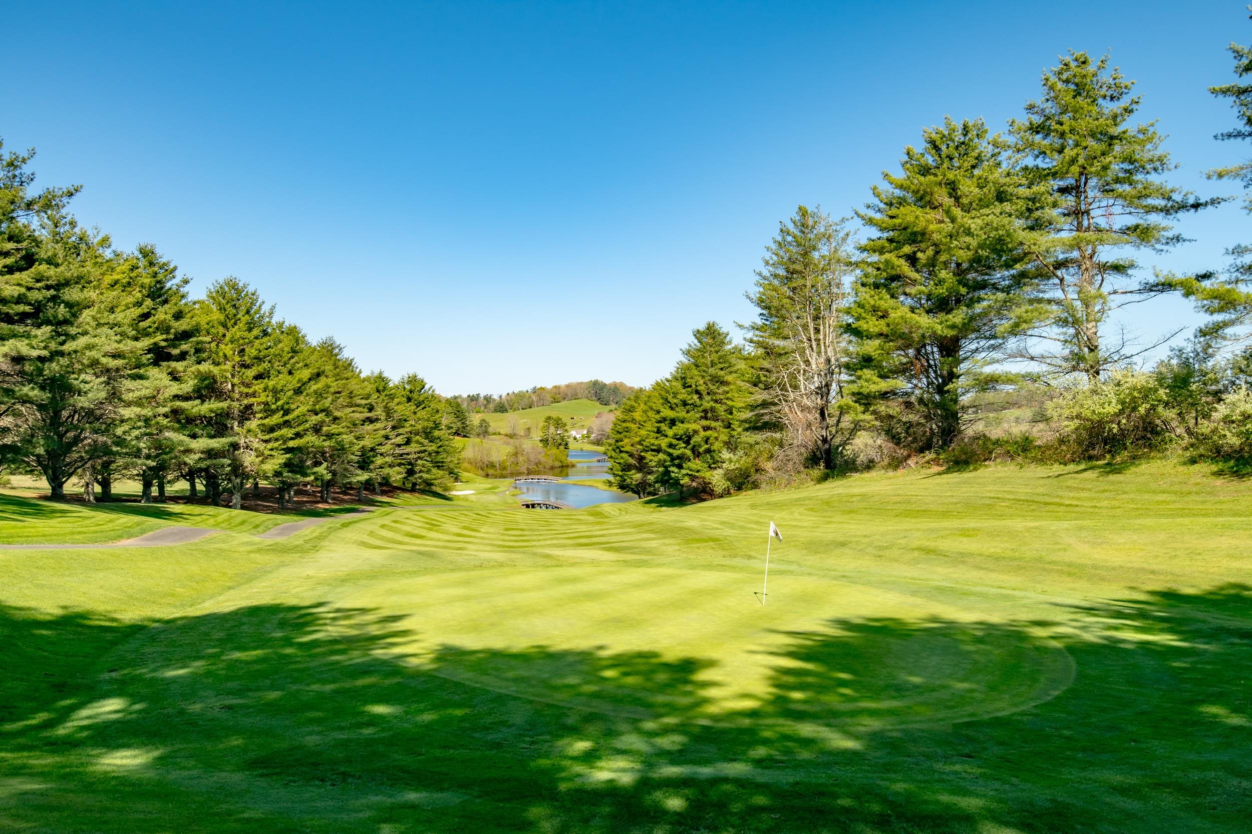 20 Golf Overlook Way Laurel Fork VA 24352