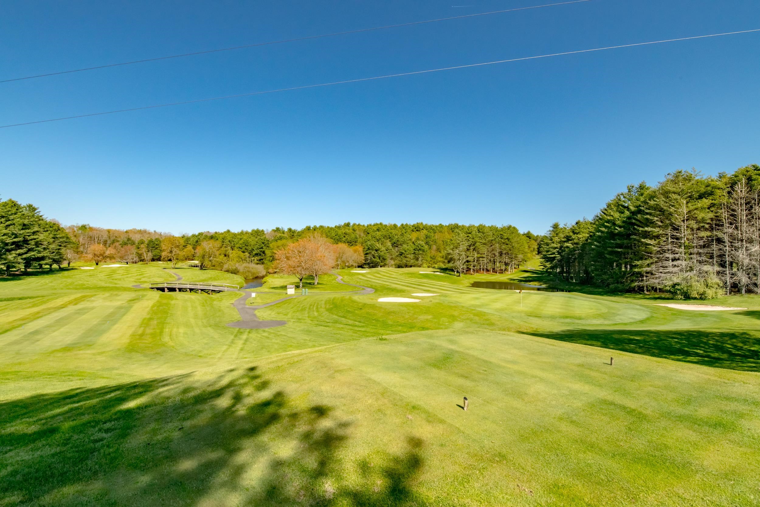 20 Golf Overlook Way Laurel Fork VA 24352