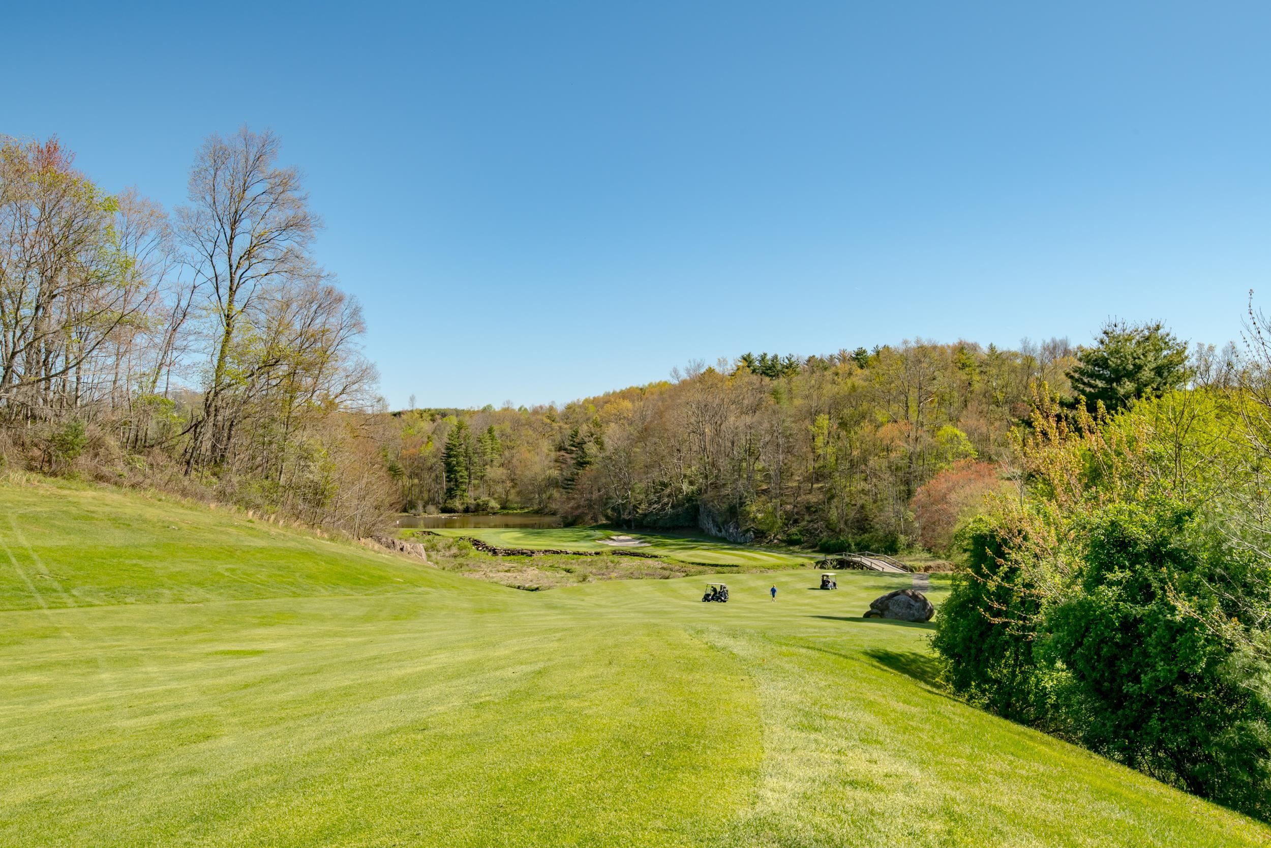 20 Golf Overlook Way Laurel Fork VA 24352