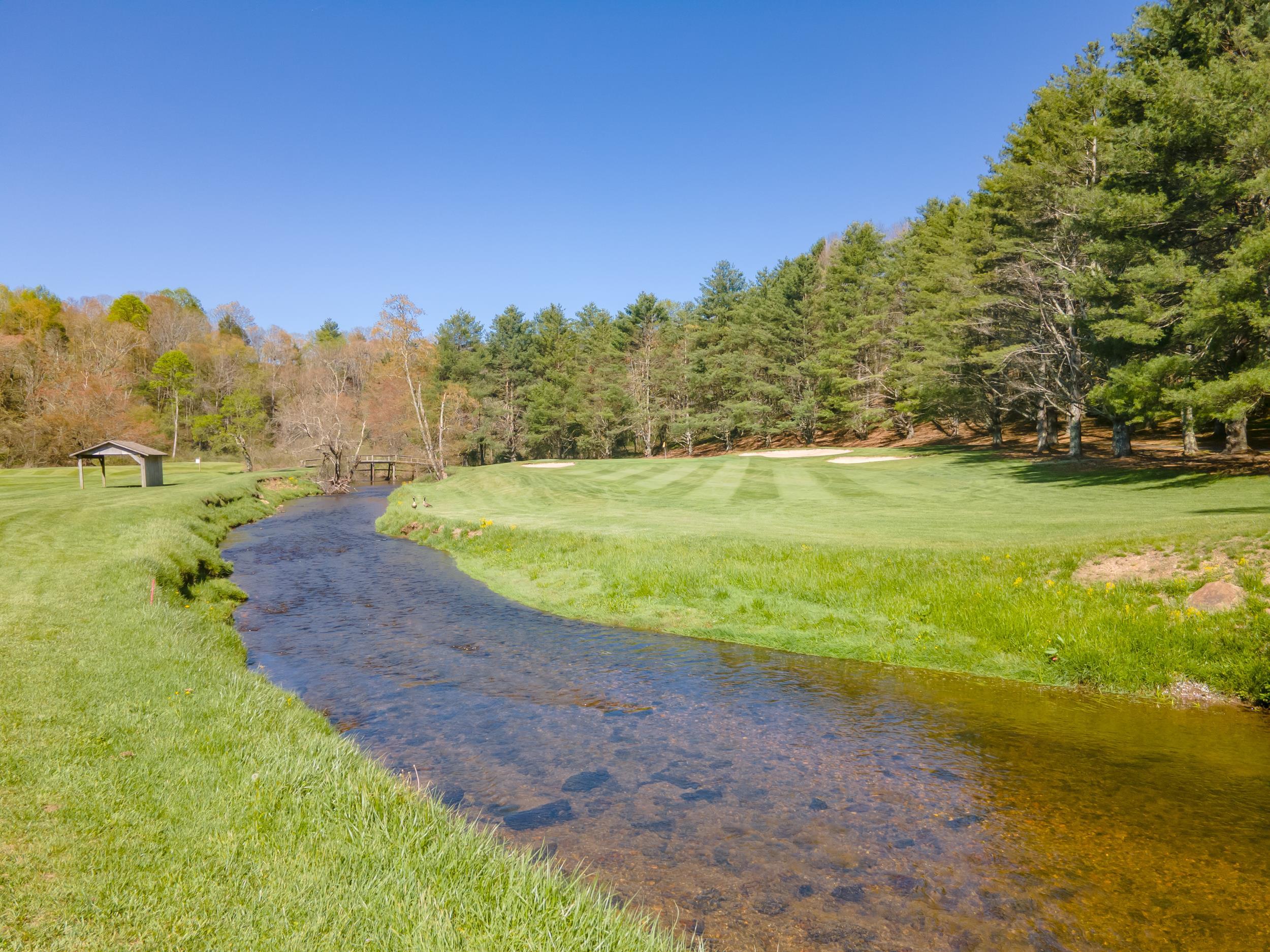20 Golf Overlook Way Laurel Fork VA 24352
