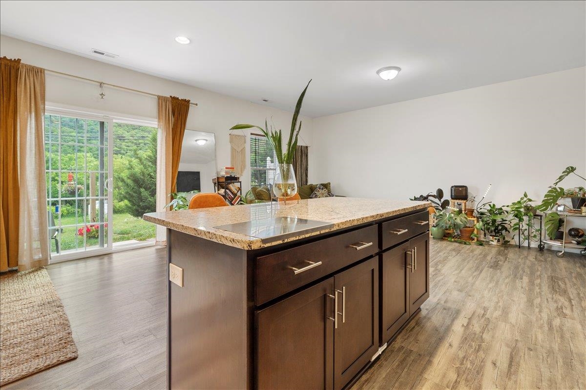 281 Louise Lane Elliston VA 24087