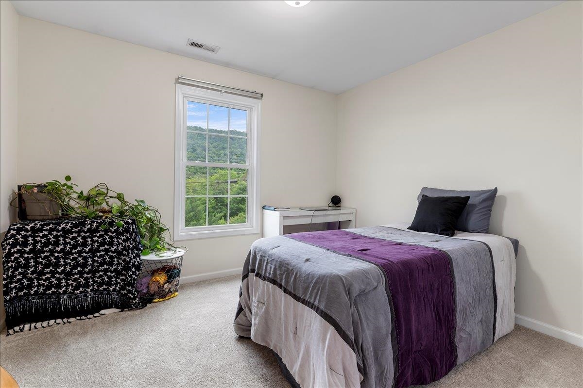 281 Louise Lane Elliston VA 24087