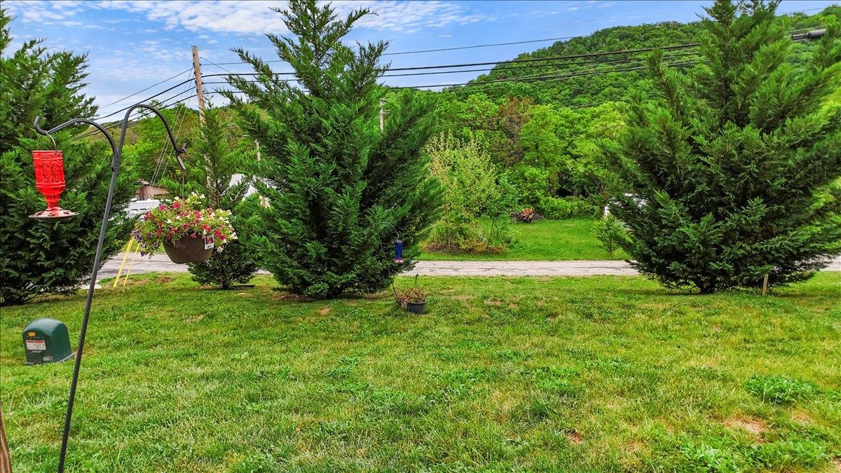 281 Louise Lane Elliston VA 24087