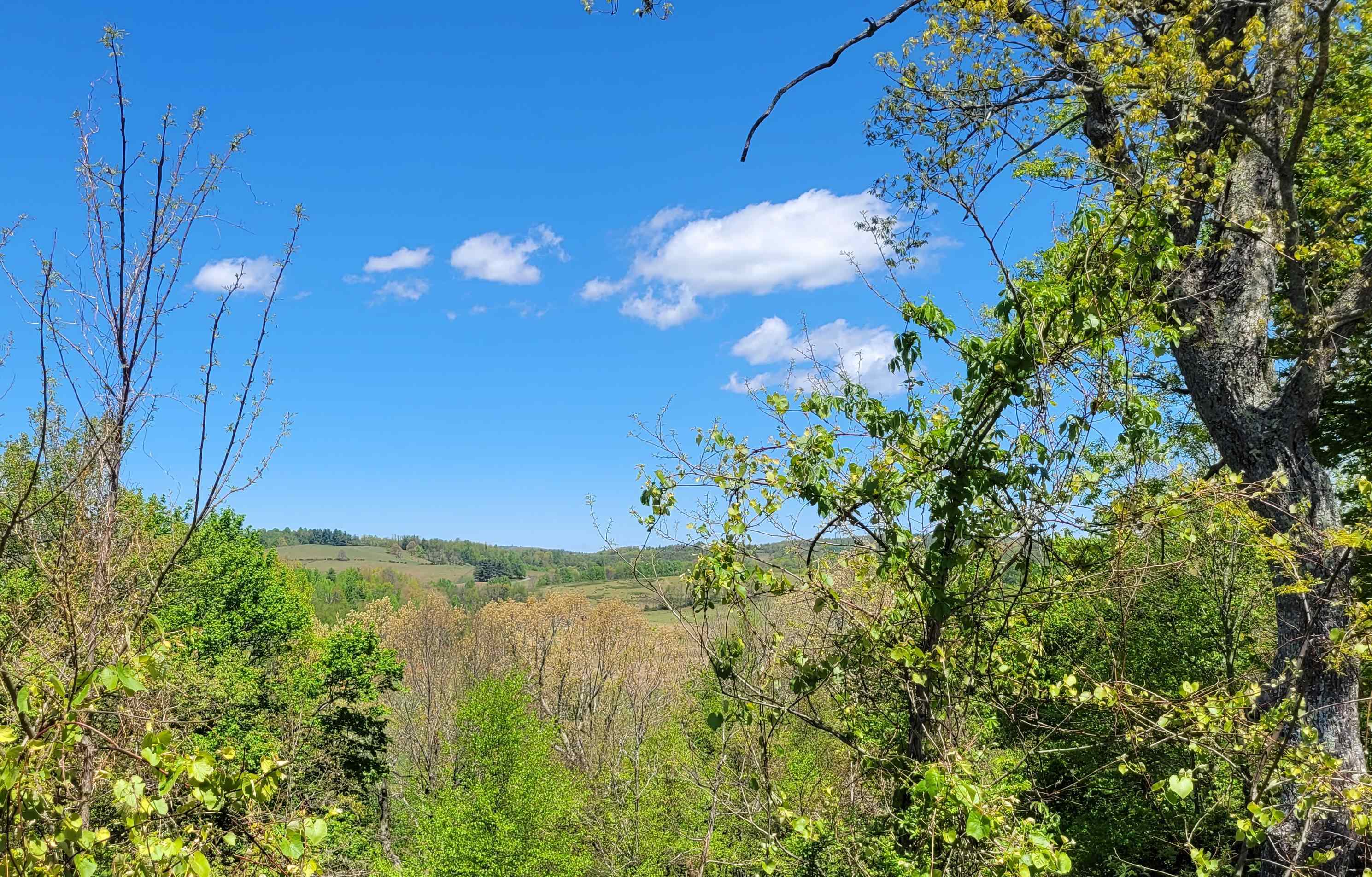 5 Mountain Village Lane Meadows Of Dan VA 24120