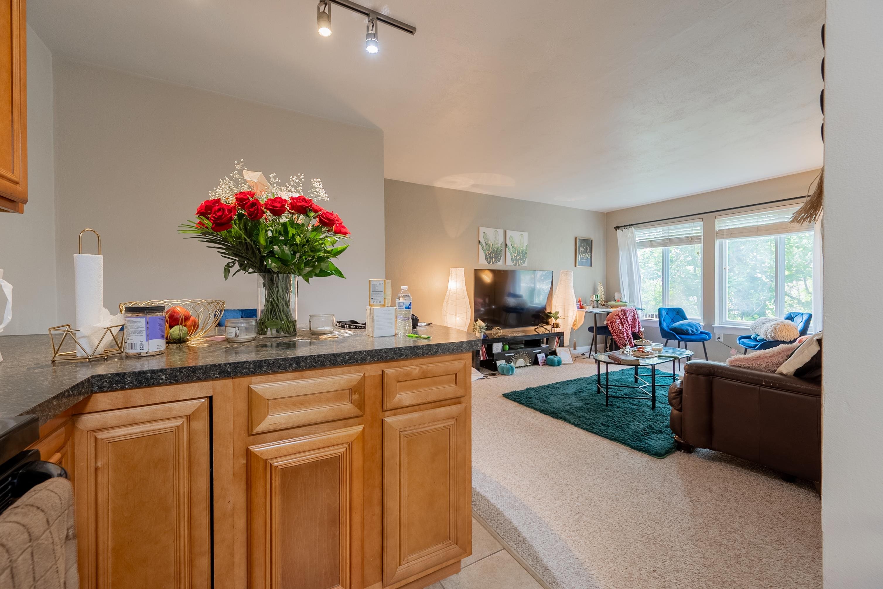 1790 Liberty Lane Blacksburg VA 24060